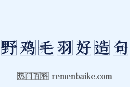 野鸡毛羽好造句是什么意思的图片